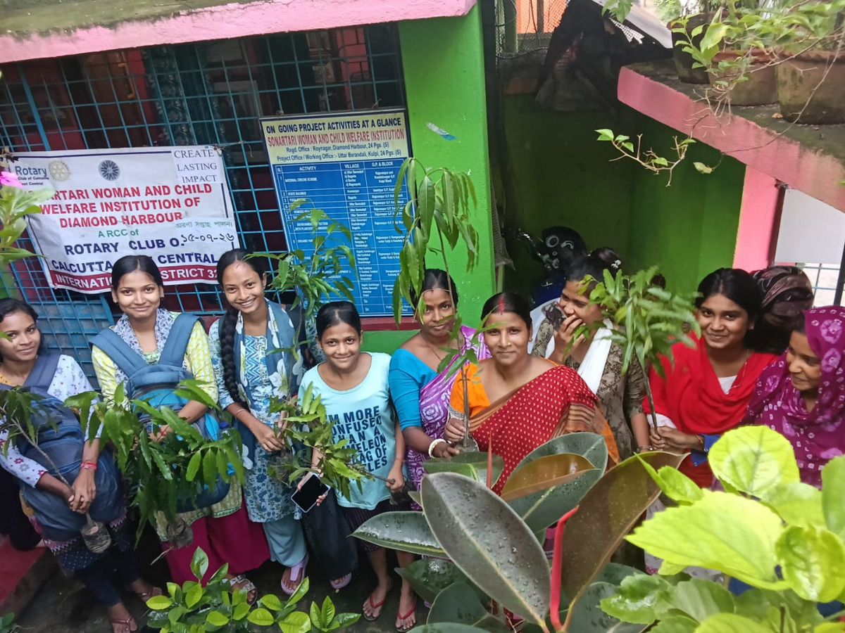 Forest Week 2026 Observed with Climate Change Awareness and Tree Plantation Forest Week 2026 Observed with Climate Change Awareness and Tree Plantation